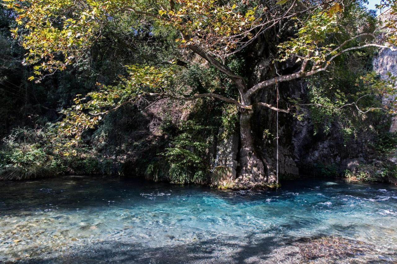 Kanto'S Guesthouse Stemnitsa Bagian luar foto